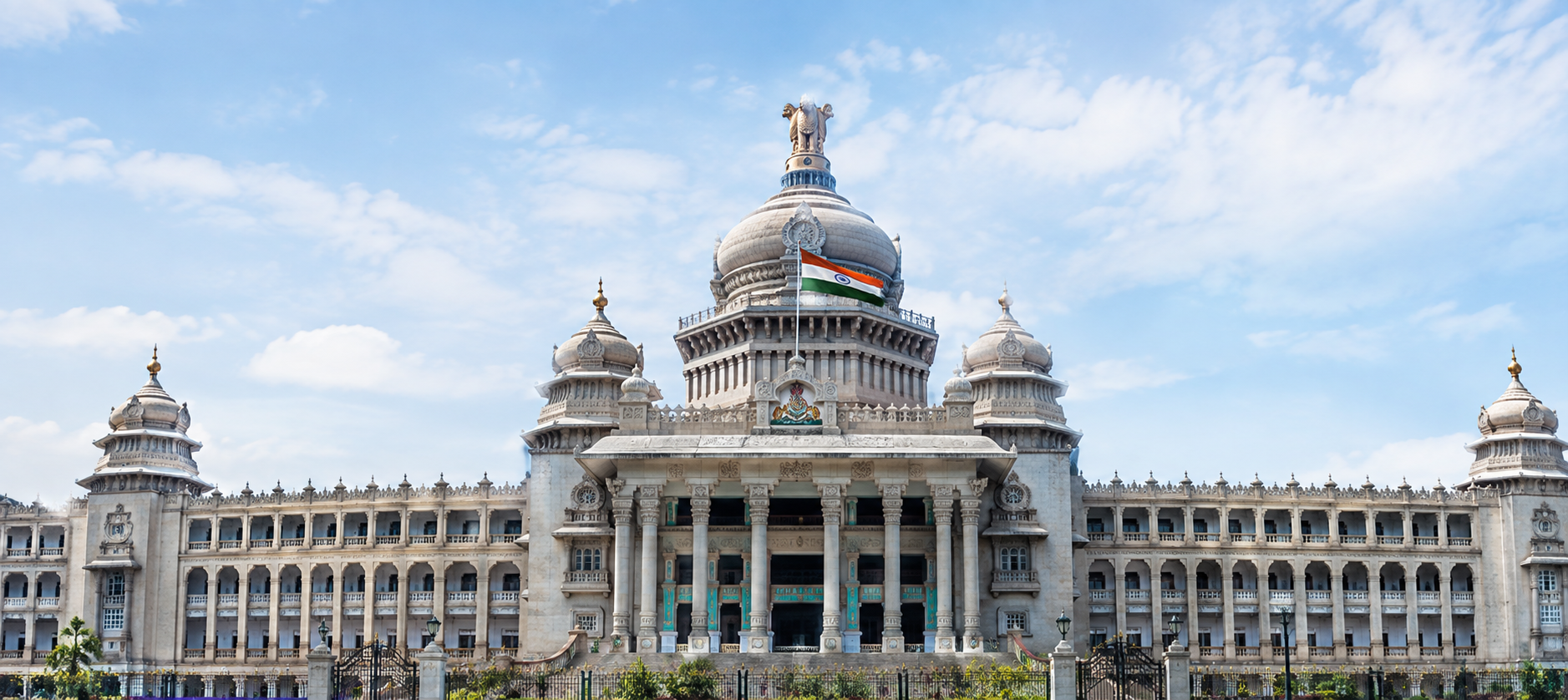 Public Sector Organization